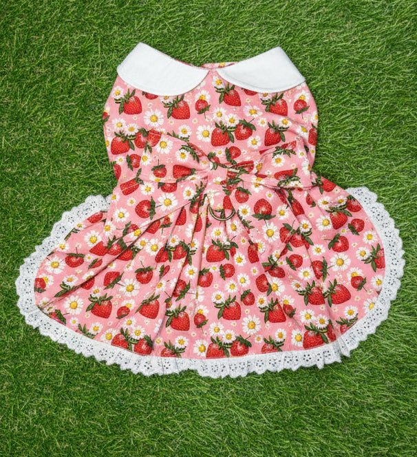 Dress- Strawberry on Pink with Peter Pan Collar NEW FEATURE D ring