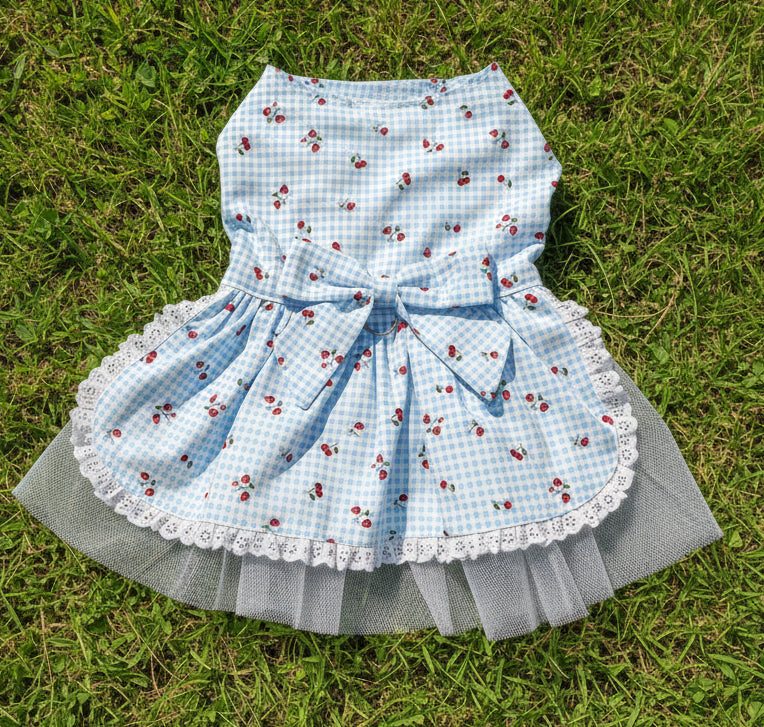 Dress - Baby Blue Gingham with Cherries NEW FEATURE D ring