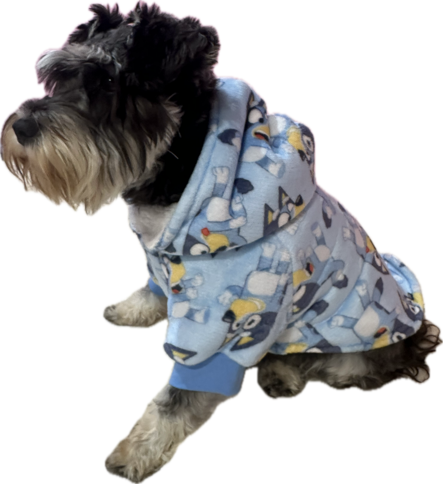 Hoodie - Bluey
