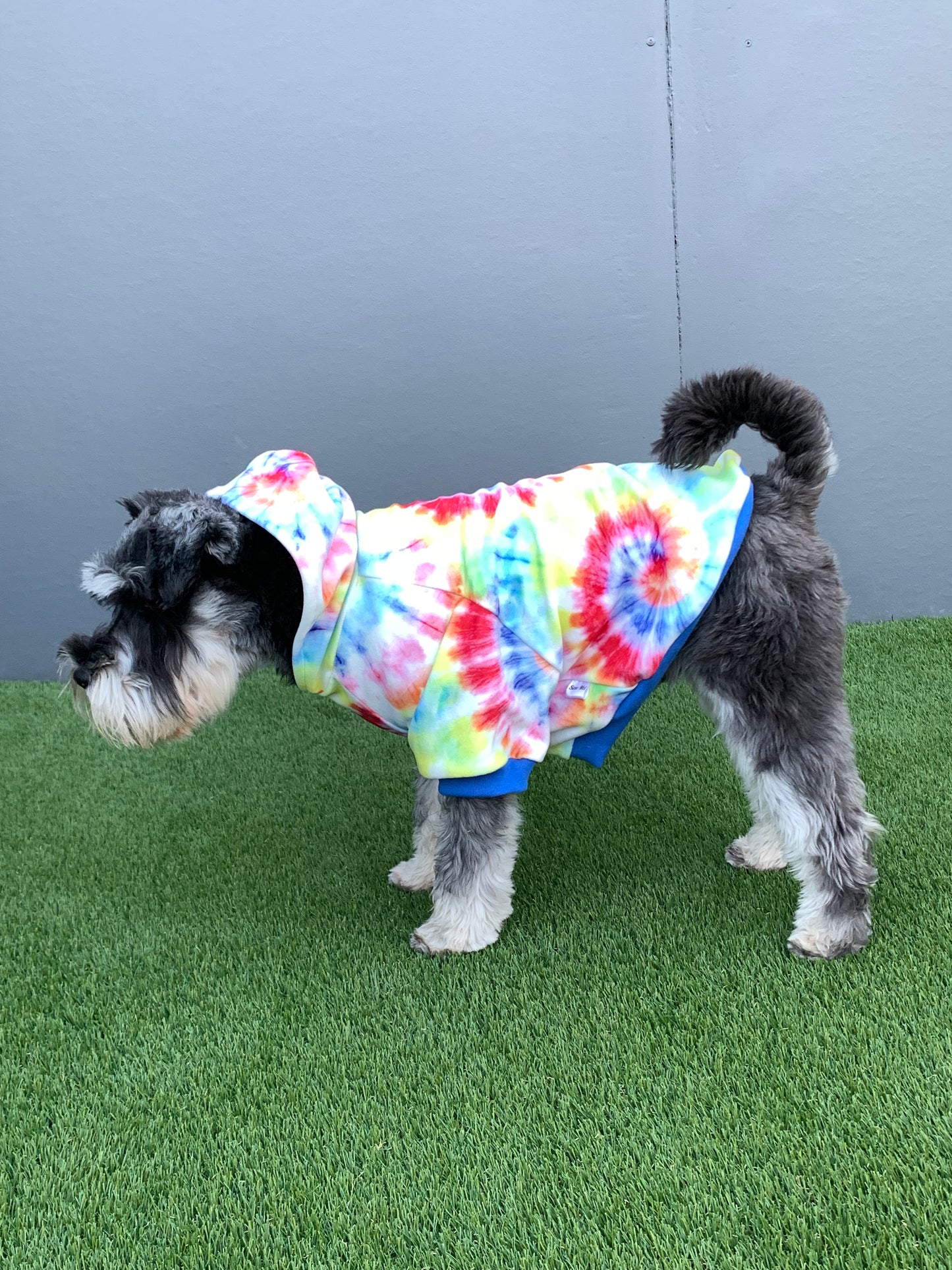 Hoodie - Tie Dye on Velvet