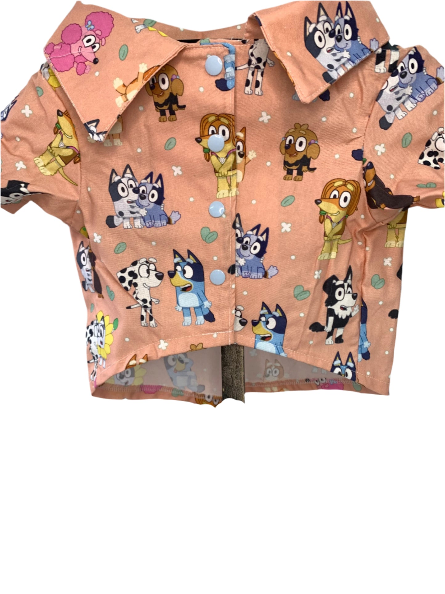 Collared Shirt /Bluey and Friends SIZE MEDIUM