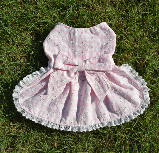 Dress - Pale Pink Gingham Broderise with Silver  Thread    NEW FEATURE D ring