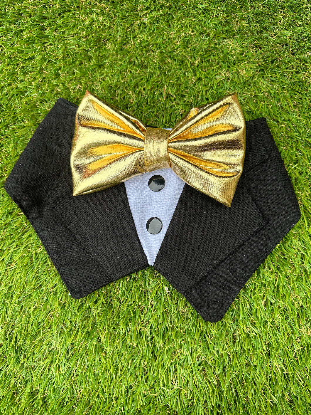 Tuxedo Bandana  (Tuxdanna)- Gold Bow Tie