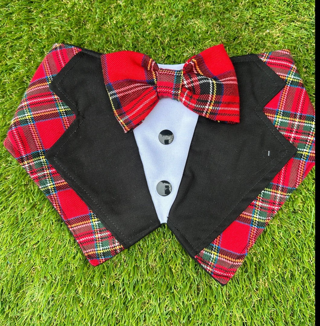 Tuxedo Bandana - Tartan Background