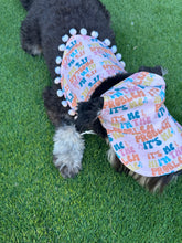 Load image into Gallery viewer, Dog Hat Size Medium - Taylor
