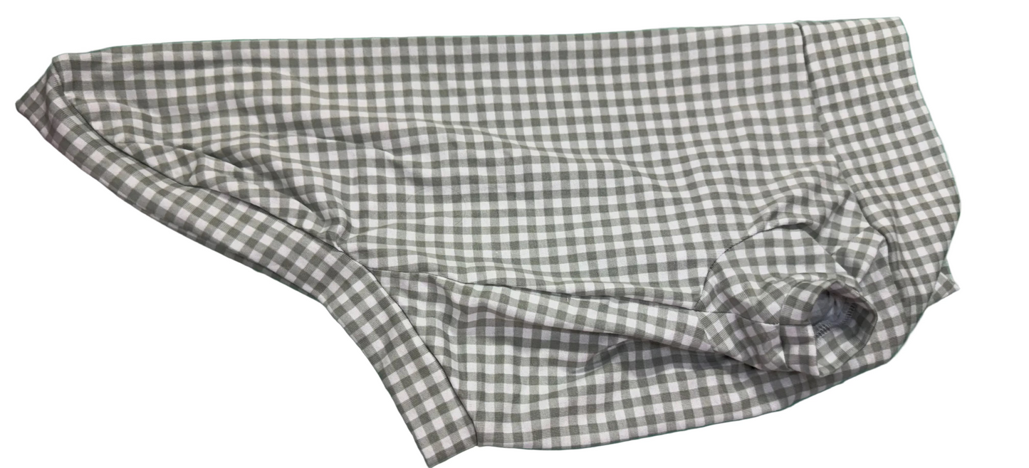 Long Dog  T Shirt with sleeve / Slim Fit - Sage Green Gingham