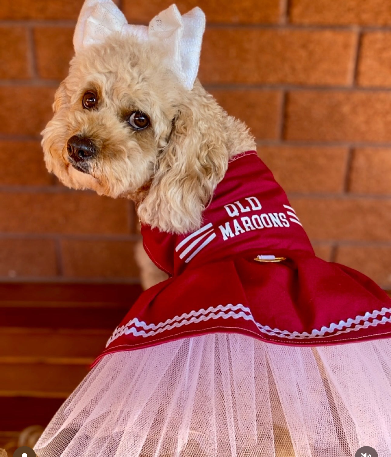 Dress-Cheerleader QLD Maroon tulle underskirt.  PRE ORDER