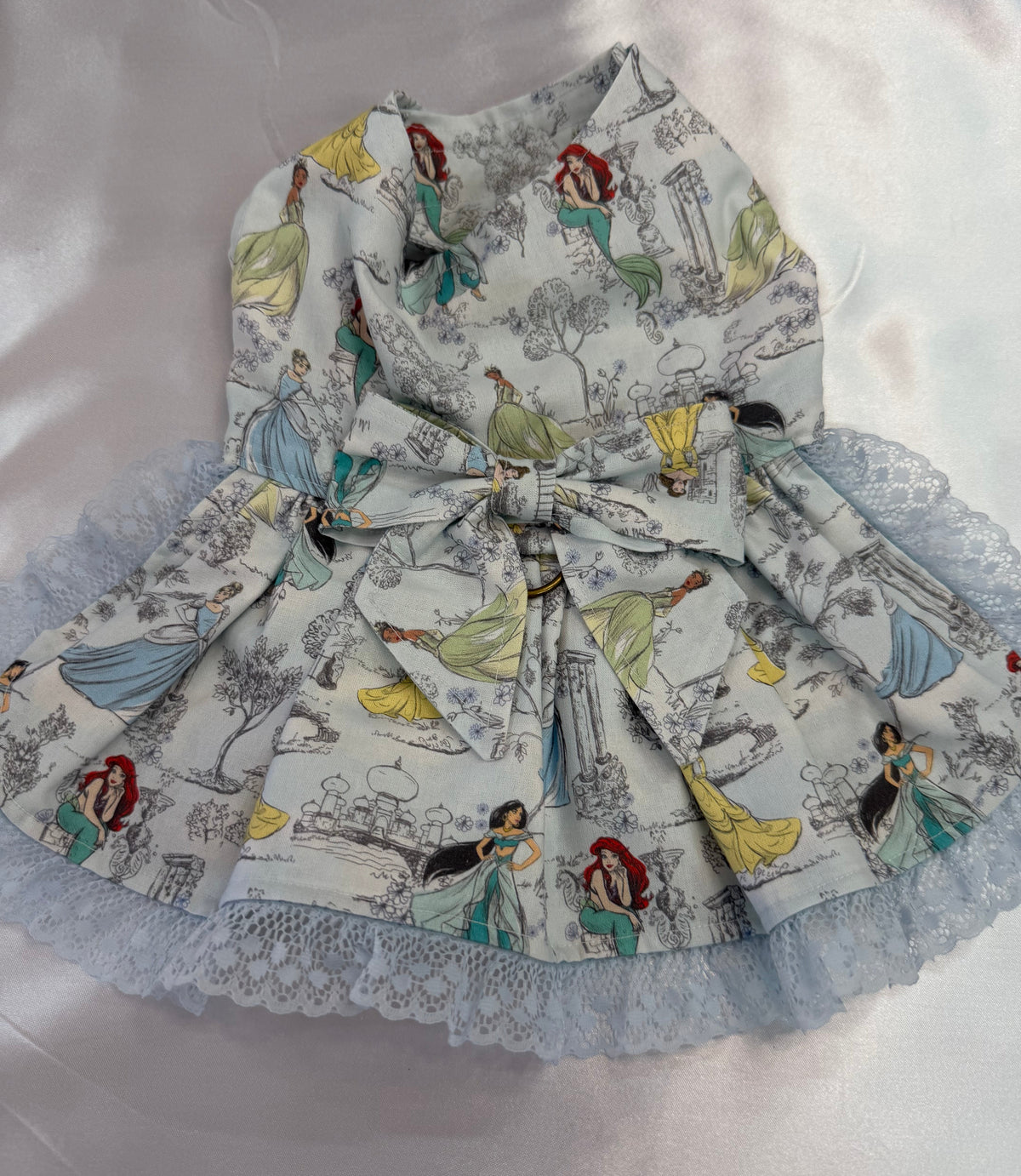 Dress - Princess on Pale Blue