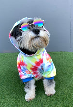 Load image into Gallery viewer, Dog Hoodie - Tie Dye on Velvet
