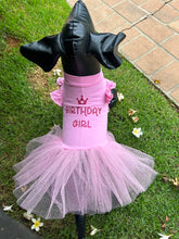 Load image into Gallery viewer, Doggy Dress- Birthday Princess Dress
