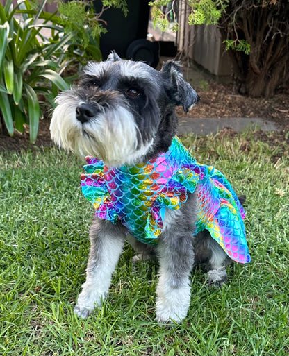Doggy Dresses  / Foil Lycra -  Mermaid Rainbow
