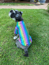 Load image into Gallery viewer, Dog T Shirt Slim Fit - Foil Lycra Mermaid Rainbow
