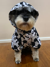 Load image into Gallery viewer, Dog Hoodie - MOUSE.
